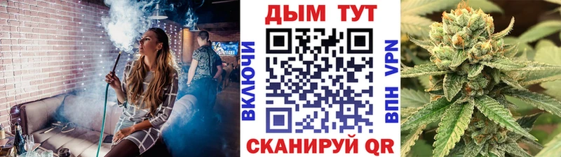 Купить  Нолинск  Бошки Шишки сатива 